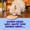 Katzennassfutter 'Filets' Thunfisch mit Huhn 70 g