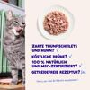 Katzennassfutter 'Filets' Thunfisch mit Huhn 70 g
