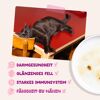 Katzennassfutter Ente & Huhn in Sauce 85 g