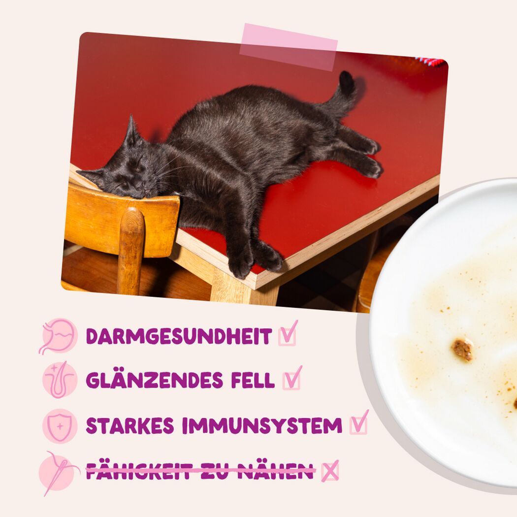 Katzennassfutter Ente & Huhn in Sauce 85 g