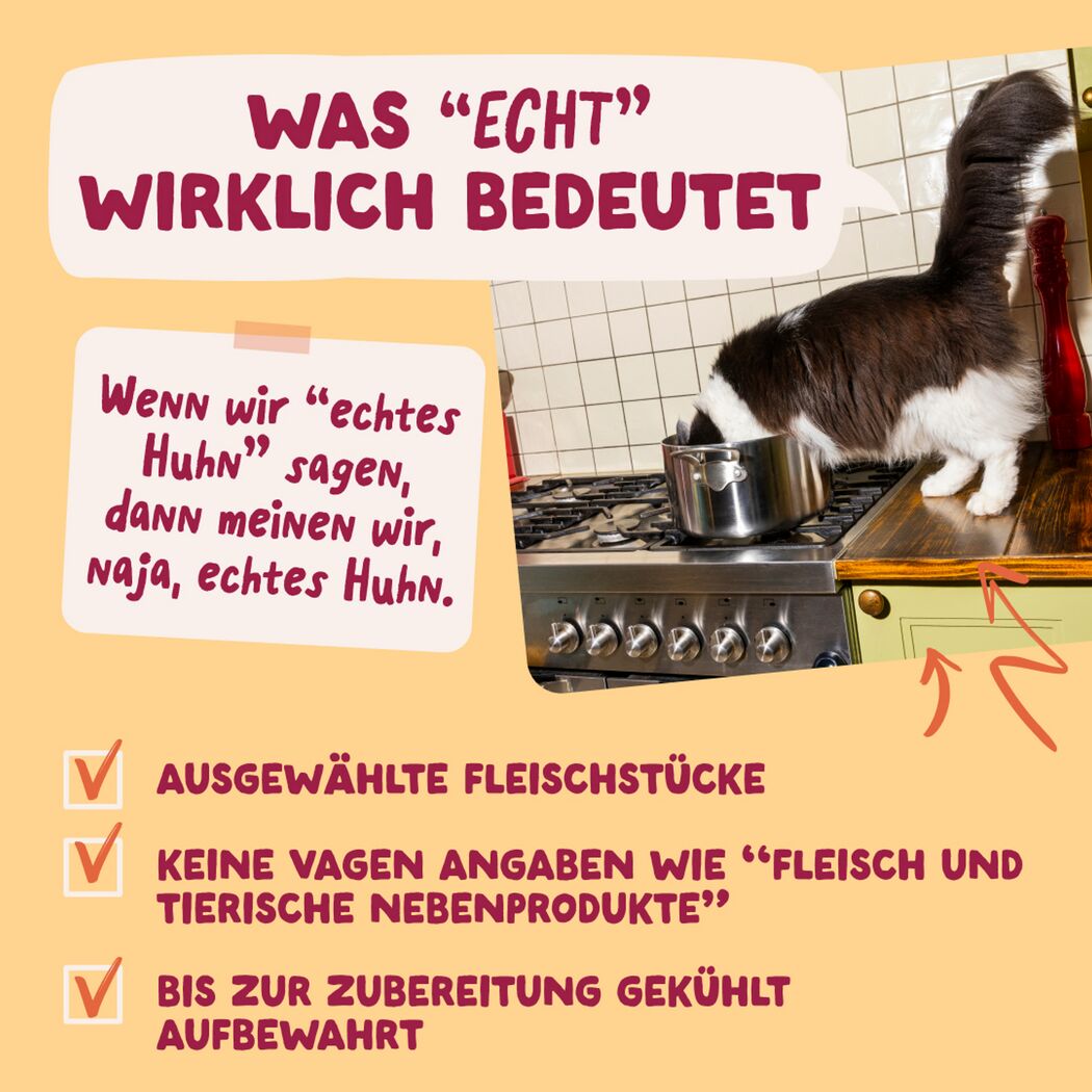 Katzennassfutter Huhn in Sauce 85 g