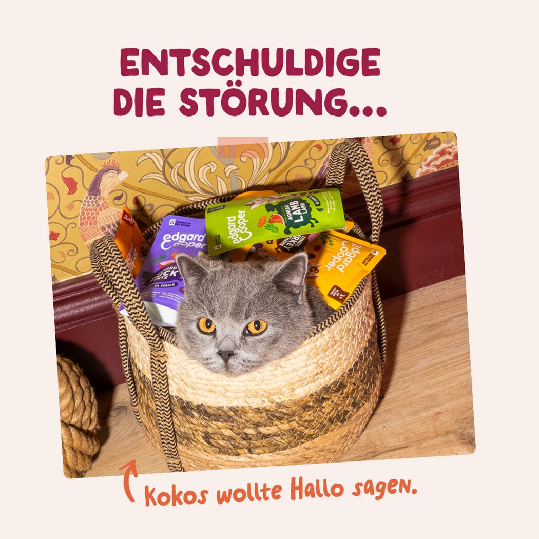 Katzennassfutter Huhn in Sauce 85 g