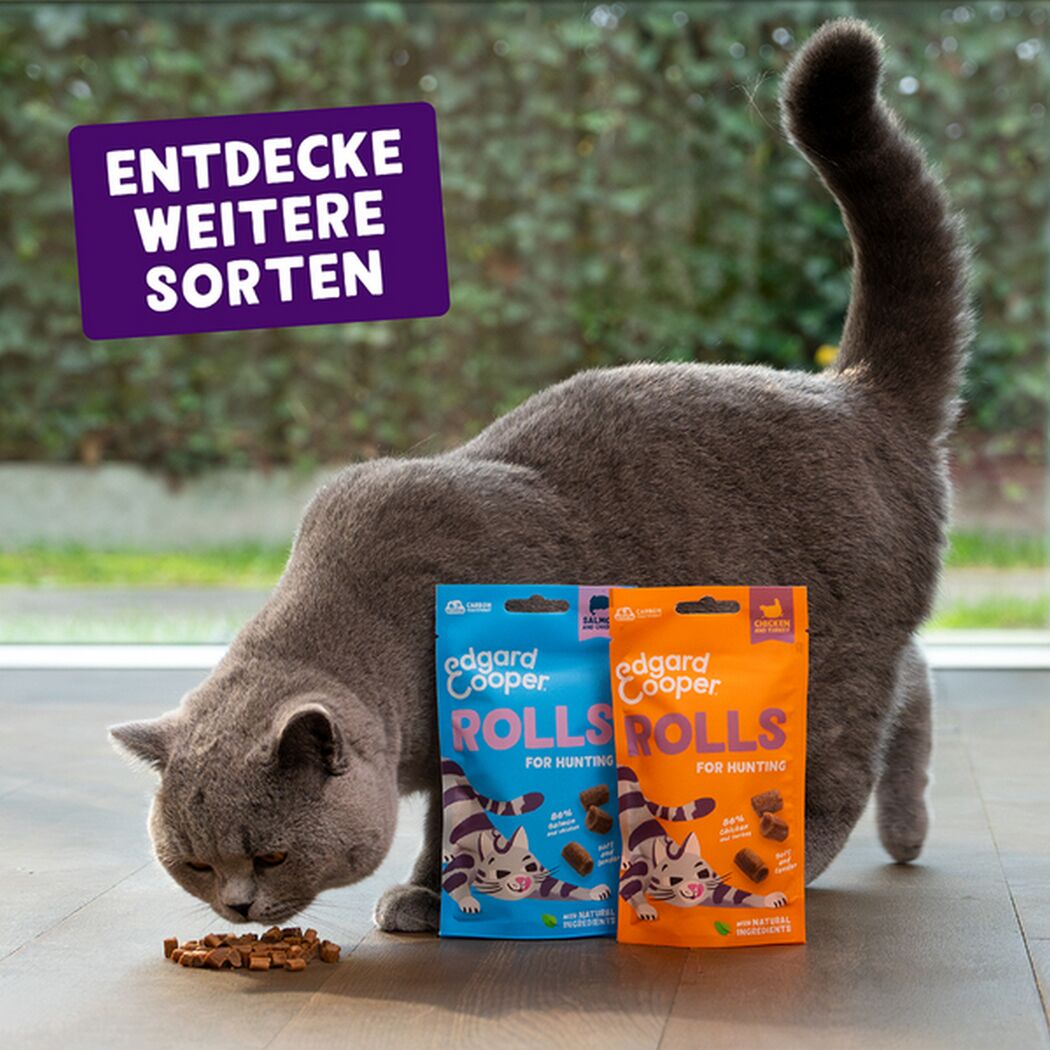 Katzensnack 'Rolls' Huhn & Truthahn 45 g