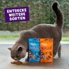 Katzensnack 'Rolls' Lachs & Huhn 45 g