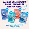 Katzennassfutter 'Multipack' Fang des Tages in Sauce 12 x 85 g