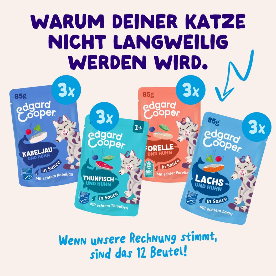 Katzennassfutter 'Multipack' Fang des Tages in Sauce 12 x 85 g