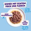 Katzennassfutter 'Multipack' Fang des Tages in Sauce 12 x 85 g