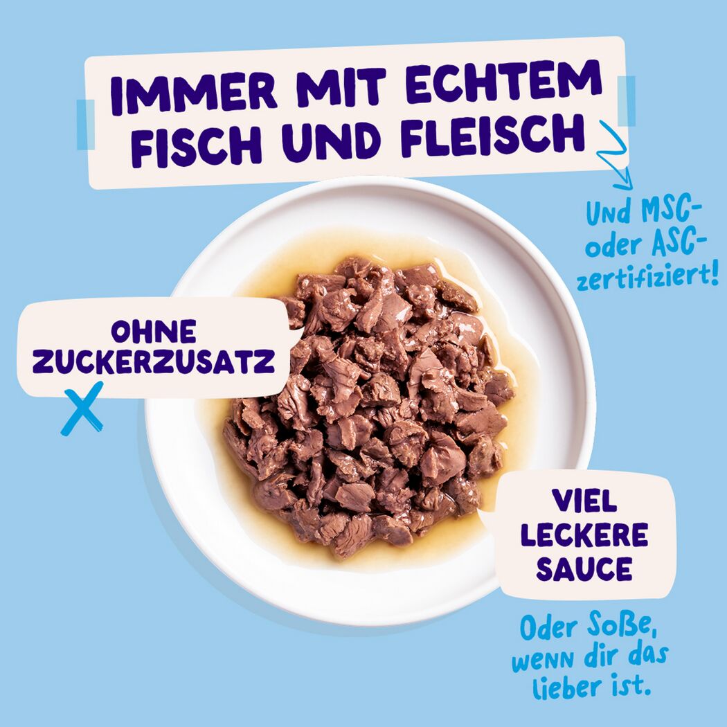 Katzennassfutter 'Multipack' Fang des Tages in Sauce 12 x 85 g