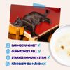 Katzennassfutter 'Multipack' Fang des Tages in Sauce 12 x 85 g