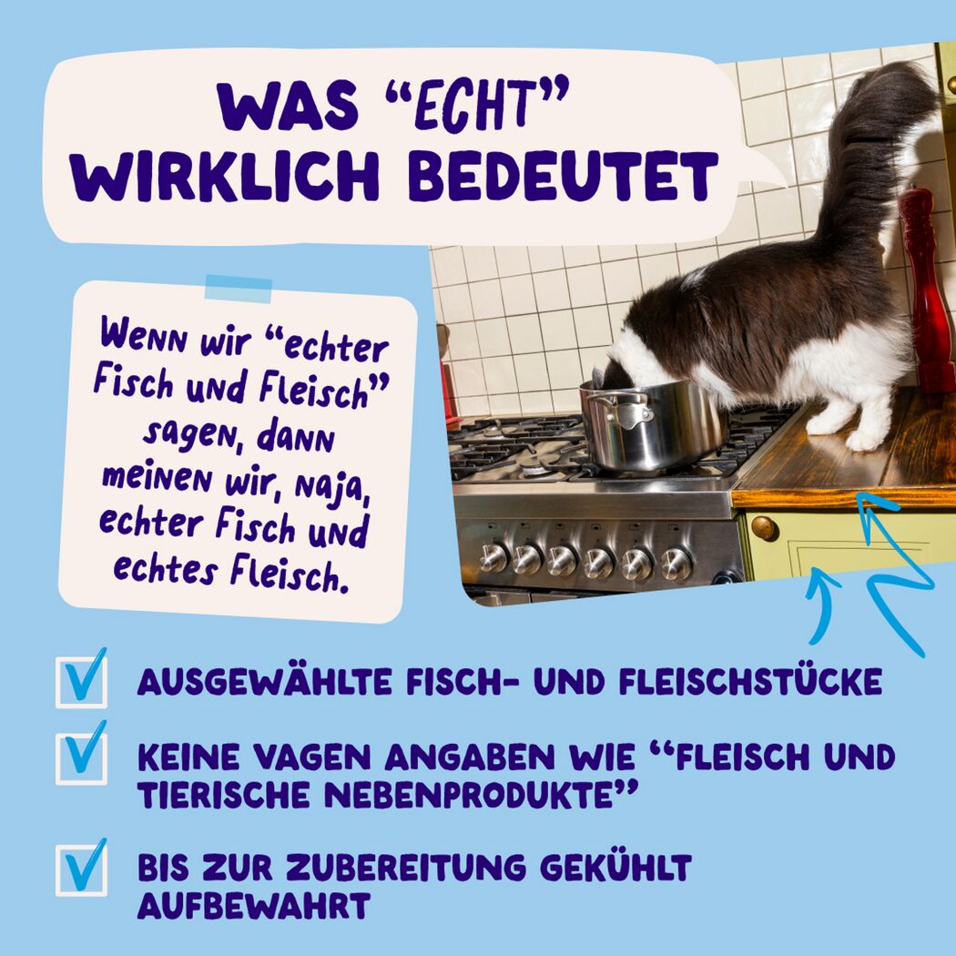 Katzennassfutter 'Multipack' Fang des Tages in Sauce 12 x 85 g