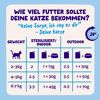 Katzennassfutter 'Multipack' Fang des Tages in Sauce 12 x 85 g