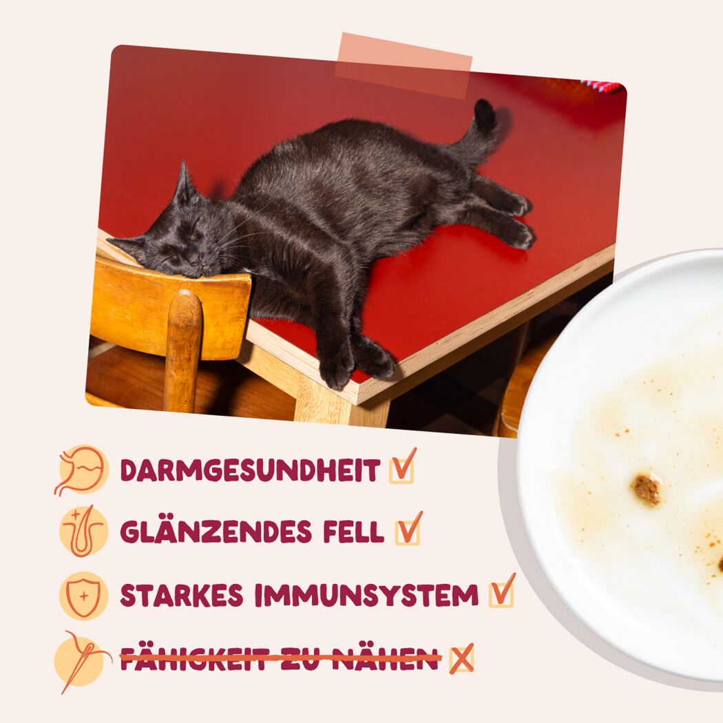Katzennassfutter 'Multipack' Bestes vom Bauernhof in Sauce 12 x 85 g