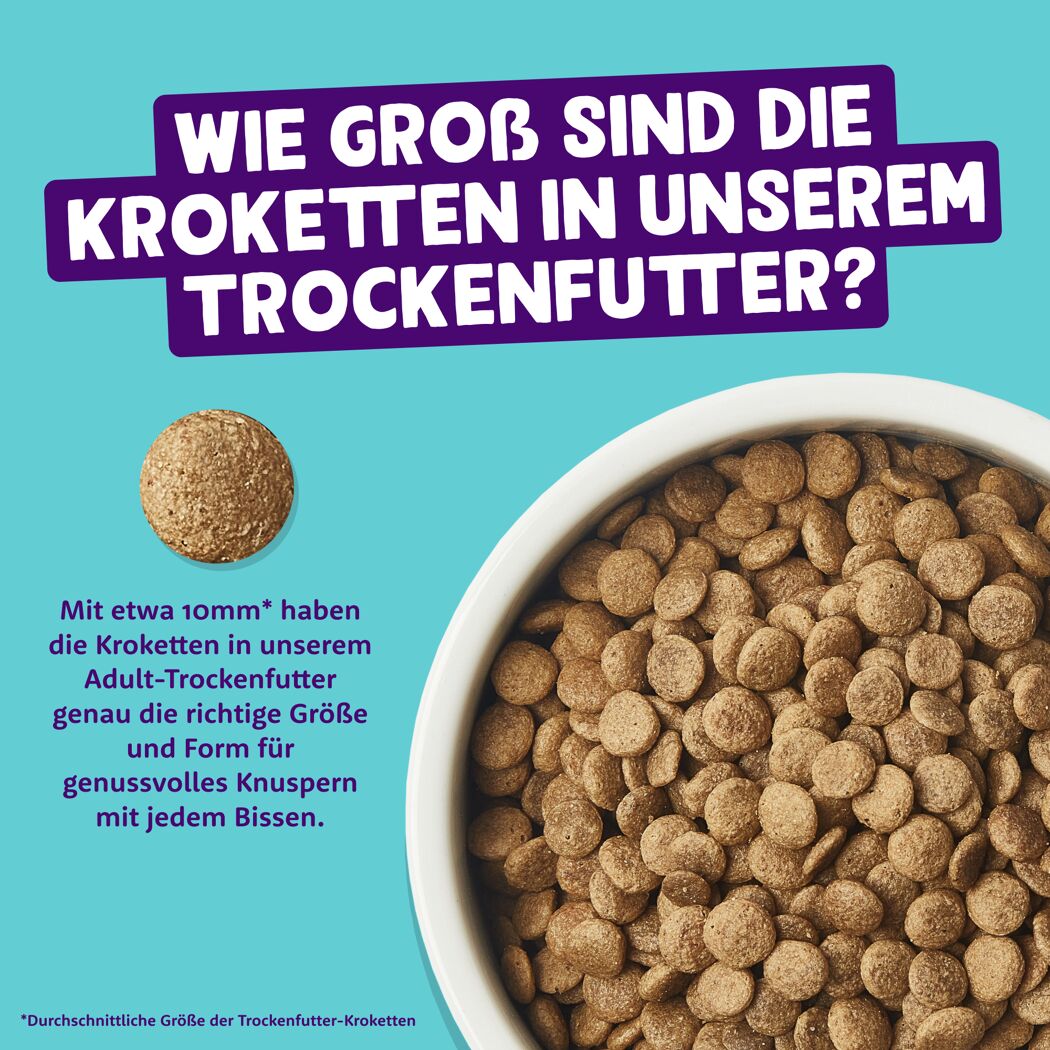 Katzentrockenfutter Truthahn & Huhn mit Cranberries 2 kg