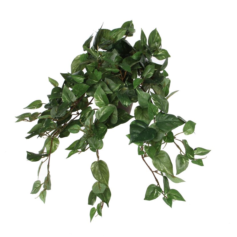 Kunstpflanze Scindapsus 45 x Ø 25 cm