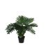 Kunstpflanze Philodendron 60 x Ø 80 cm