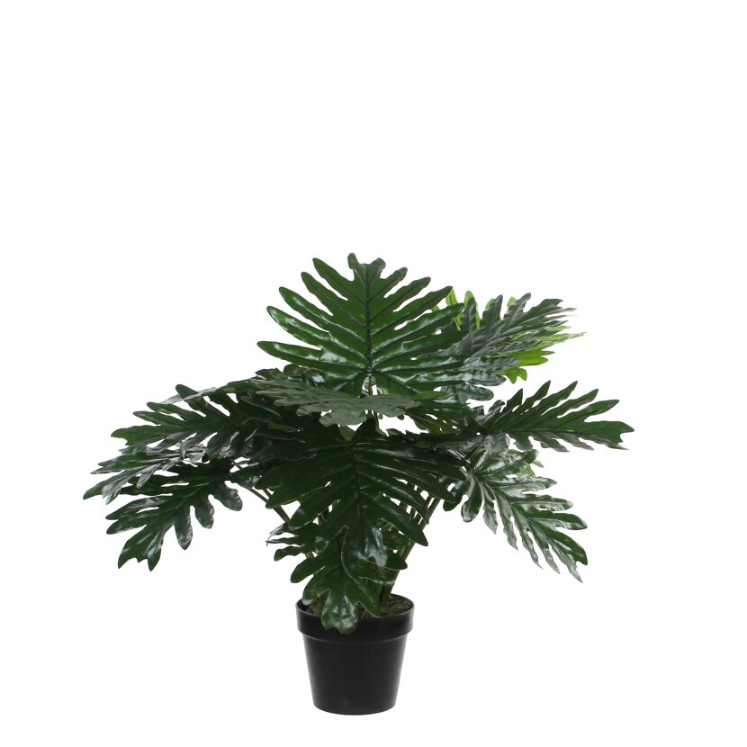 Kunstpflanze Philodendron 60 x Ø 80 cm