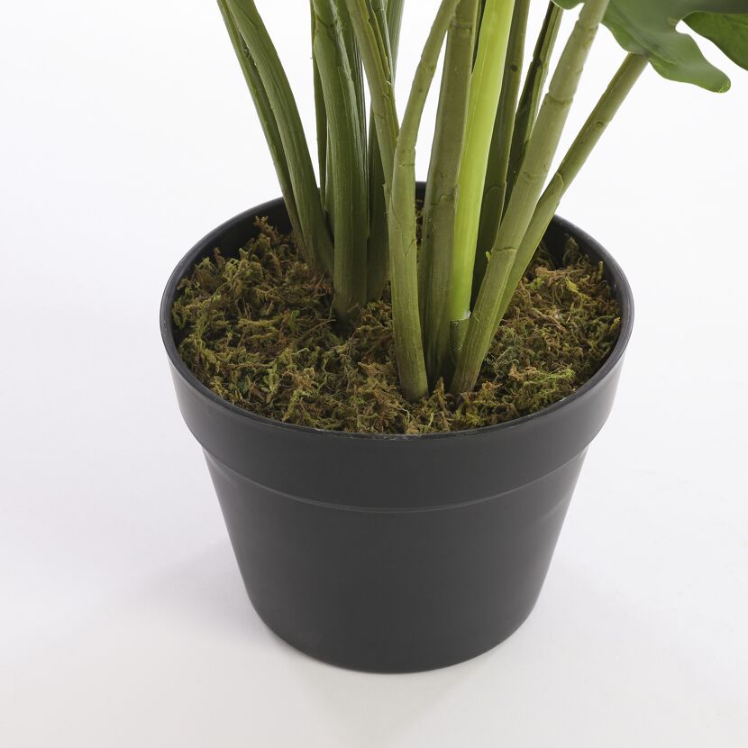 Kunstpflanze Philodendron 60 x Ø 80 cm