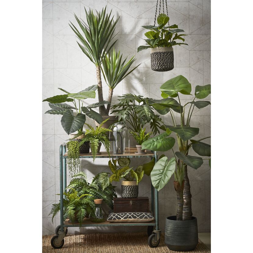 Kunstpflanze Philodendron 60 x Ø 80 cm