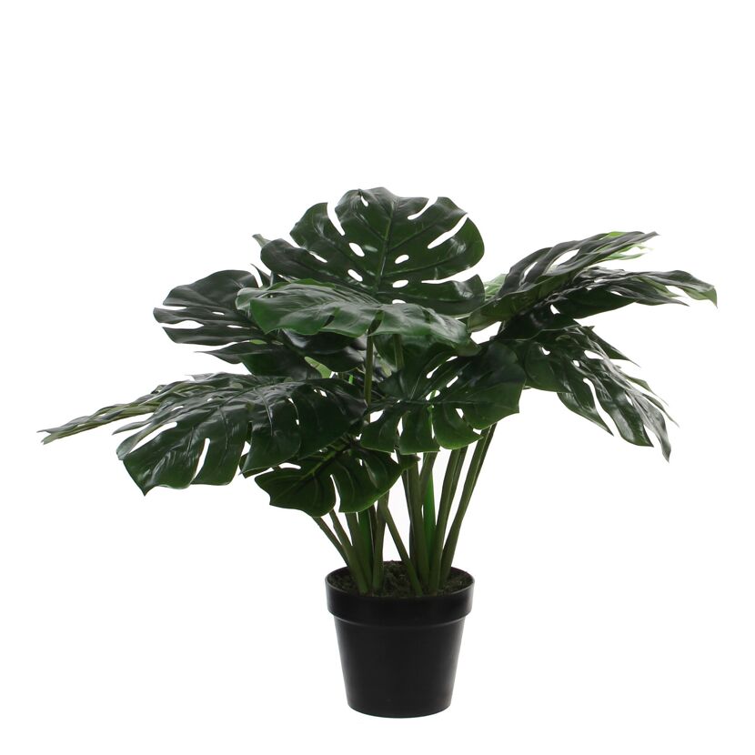 Kunstpflanze Monstera 60 x Ø 80 cm