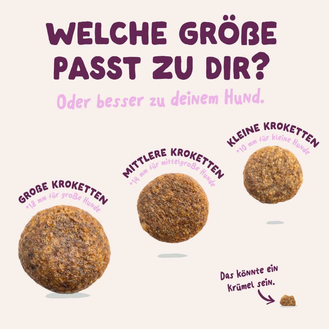 Hundetrockenfutter Frischer Hirsch & Ente für große Hunde 12 kg