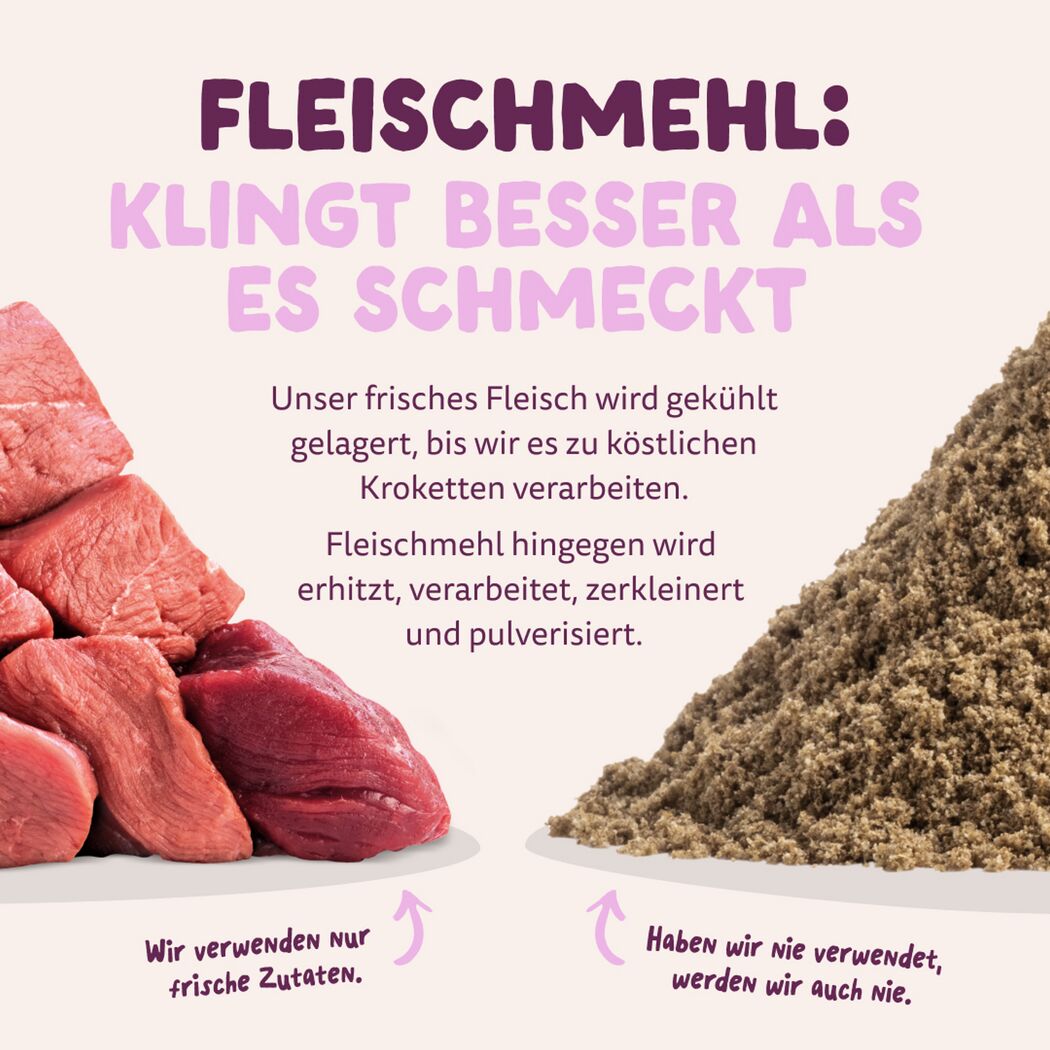Hundetrockenfutter Frischer Hirsch & Ente für große Hunde 12 kg
