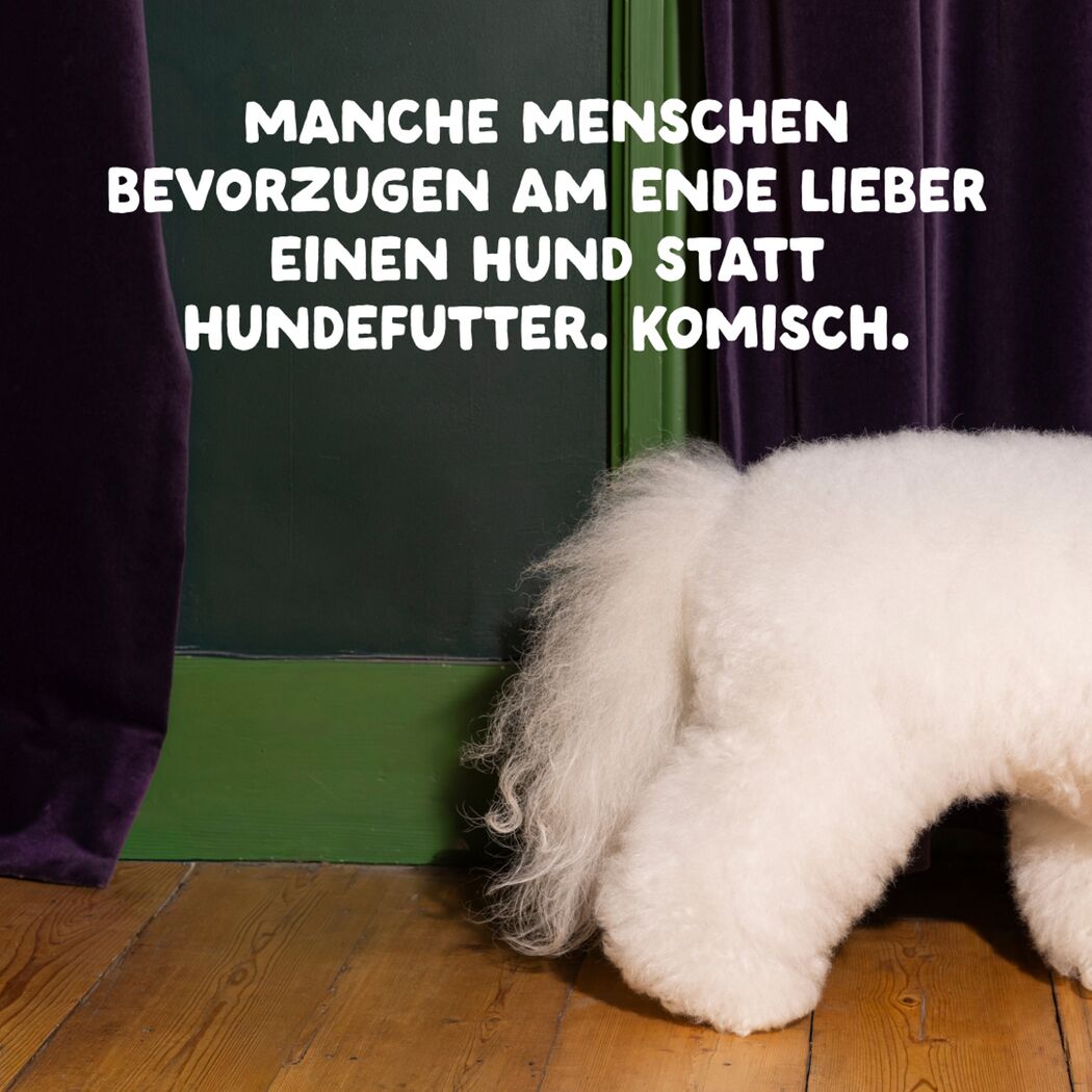 Hundetrockenfutter Frischer Lachs für mittelgroße Hunde 7 kg