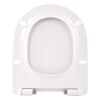 WC-Sitz 'Antus' mit Absenkautomatik mattschwarz Duroplast