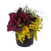 Trio-Herbstmix 23 cm Topf