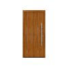 Alu-Stahlhaustür 'ISOPRO Secur IPS 010' Golden Oak rechts 110 x 210 cm