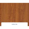Alu-Stahlhaustür 'ISOPRO Secur IPS 010' Golden Oak rechts 110 x 210 cm