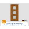 Alu-Stahlhaustür 'ISOPRO Secur IPS 780S' Golden Oak links 110 x 210 cm