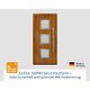 Alu-Stahlhaustür 'ISOPRO Secur IPS 810S' Golden Oak rechts 110 x 210 cm
