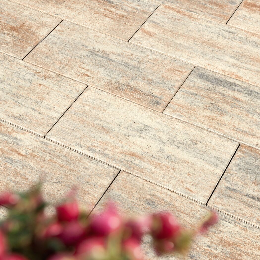 Terrassenplatte 'T-Court Solid' muschelkalkfarben 60 x 30 x 4 cm