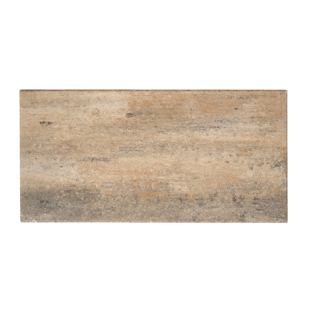 Terrassenplatte 'T-Court Solid' muschelkalkfarben 80 x 40 x 4 cm