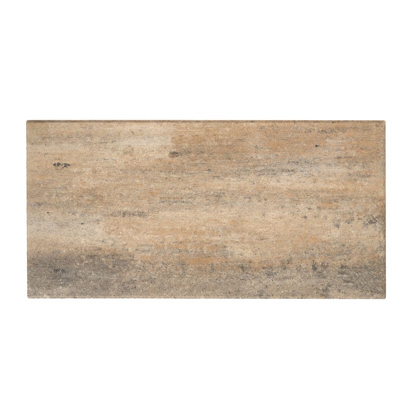 Terrassenplatte 'T-Court Solid' muschelkalkfarben 80 x 40 x 4 cm