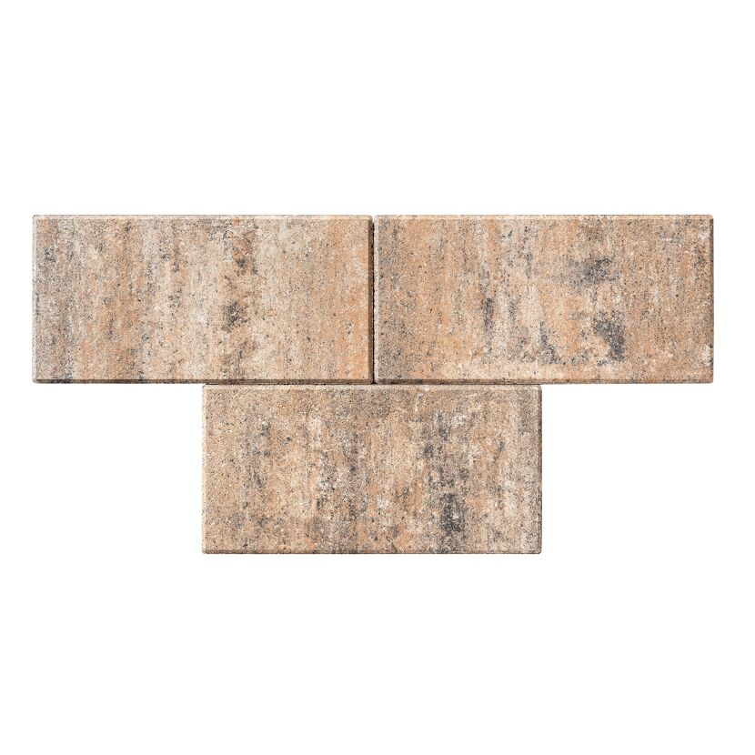 Terrassenplatte 'T-Court Solid' muschelkalkfarben 40 x 20 x 4 cm
