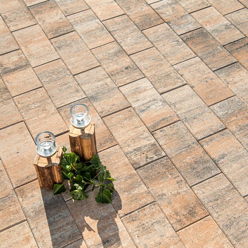 Terrassenplatte 'T-Court Solid' muschelkalkfarben 40 x 20 x 4 cm
