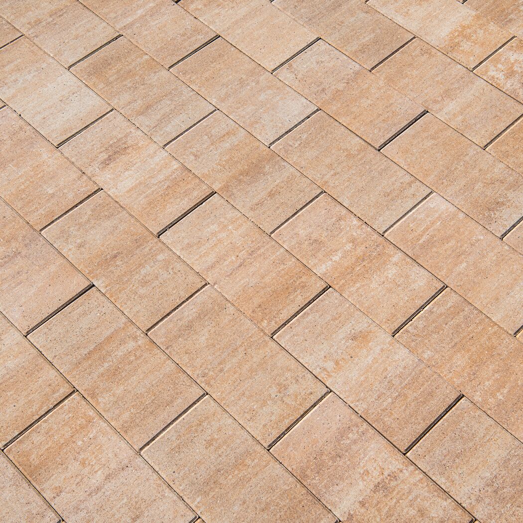 Terrassenplatte 'T-Court Solid' sandsteinfarben 40 x 20 x 4 cm