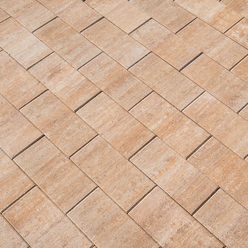 Terrassenplatte 'T-Court Solid' sandsteinfarben 40 x 20 x 4 cm
