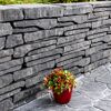 T-Wall Organic Quarzit Wand mit rotem Pflanzentopf.