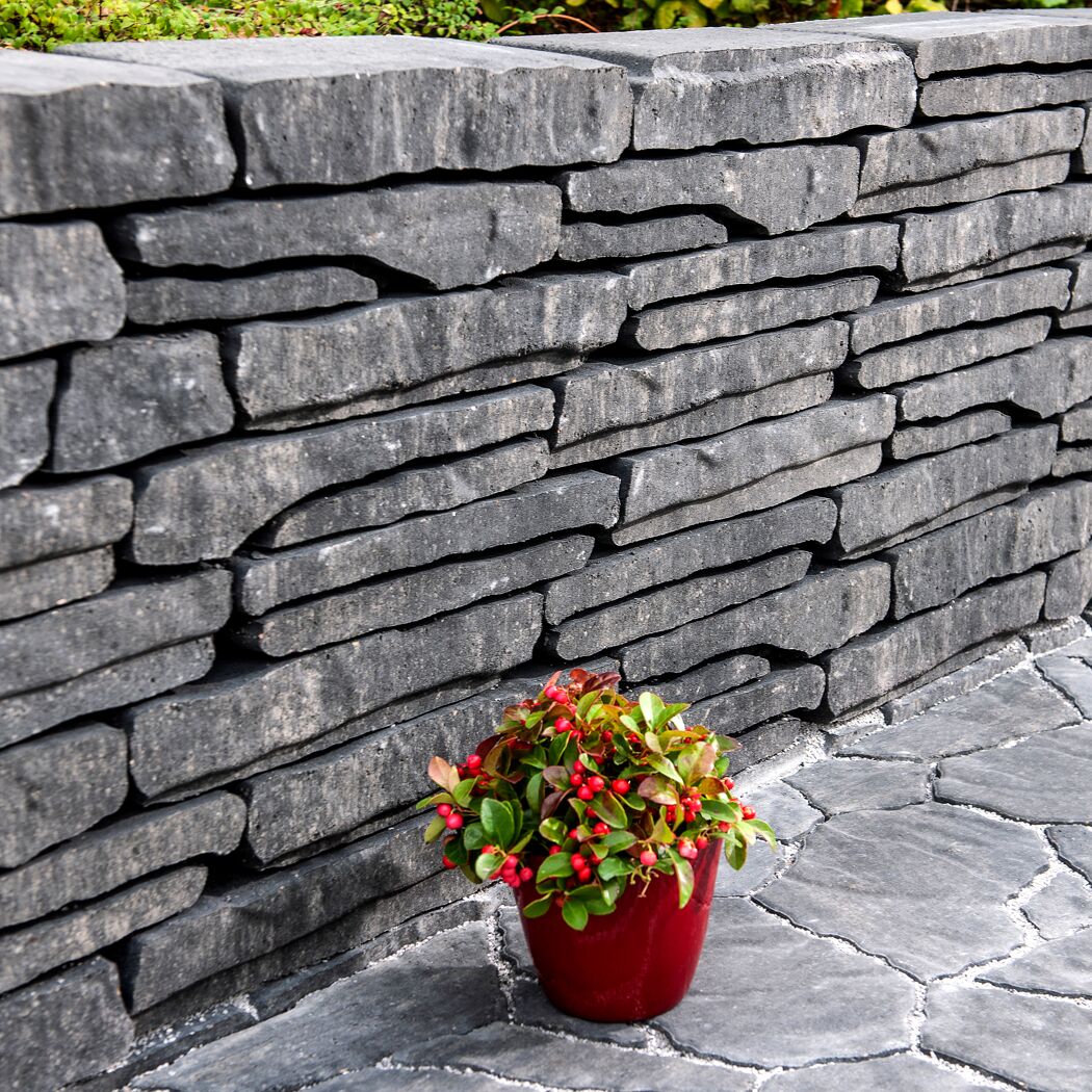T-Wall Organic Quarzit Wand mit rotem Pflanzentopf.