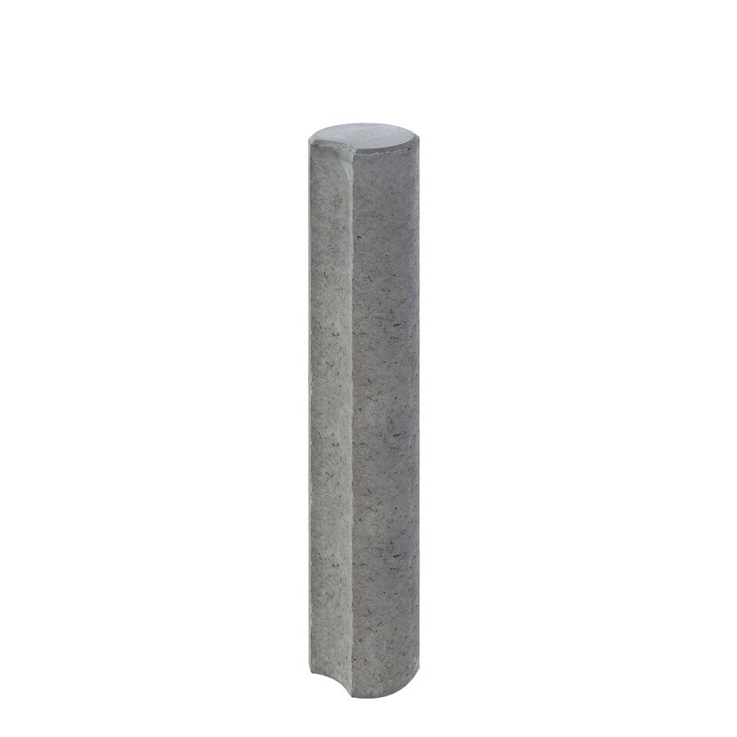 Graue Palisade 'Mini'