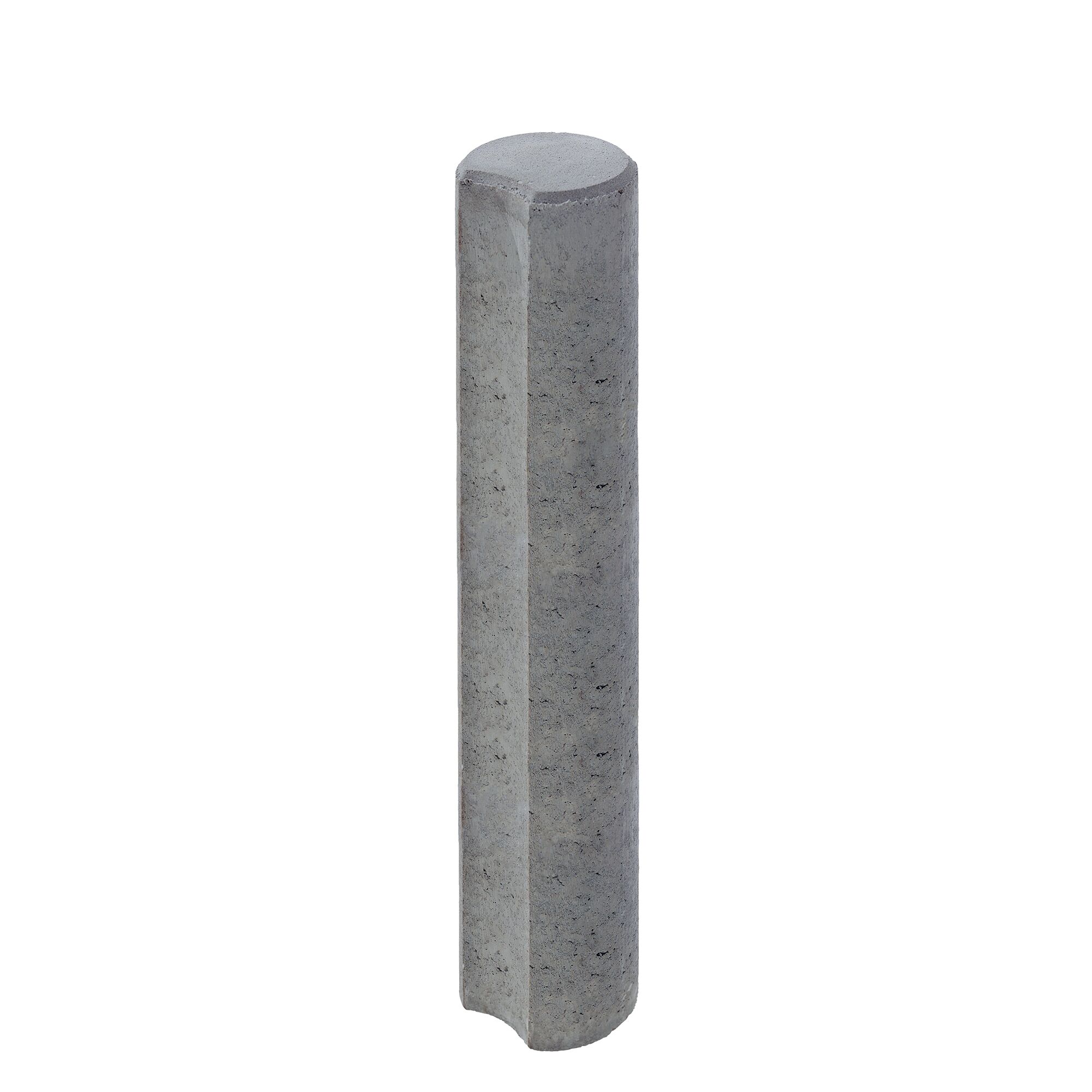 Graue Palisade 'Mini'