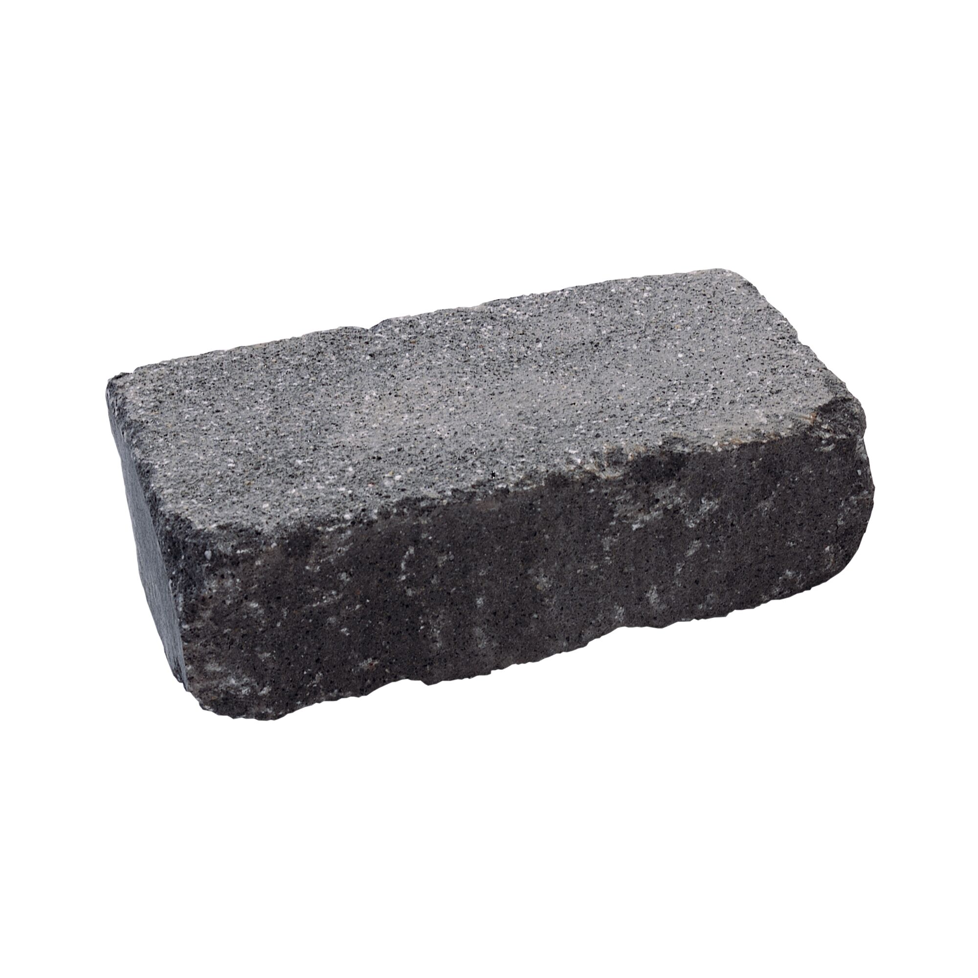 Schwarzer Mauerstein 'T-Wall Quarry Big'