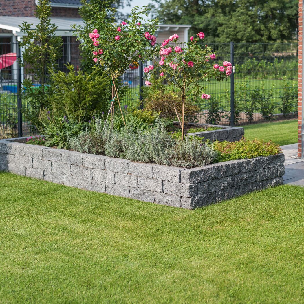 Granitfarbenes Hochbeet aus 'T-Wall Quarry' Mauersteinen mit Rosen.