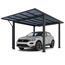 Einzelcarport 'Wing Plus Standard' Aluminium anthrazit 293 x  250 x 530 cm