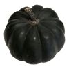 Zierkürbis 'Dark Boo' schwarz