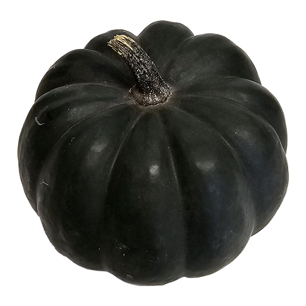 Zierkürbis 'Dark Boo' schwarz