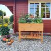 Balkon-Kräuterbeet honigbraun Kiefernholz 100 x 50 x 80 cm