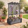 Rankkasten mit Pergola Holz grau 112 x 139 x 65 cm